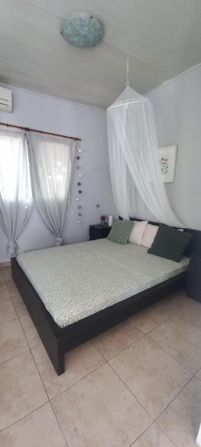 Εξοχικό Maria Ambelakia Exterior foto