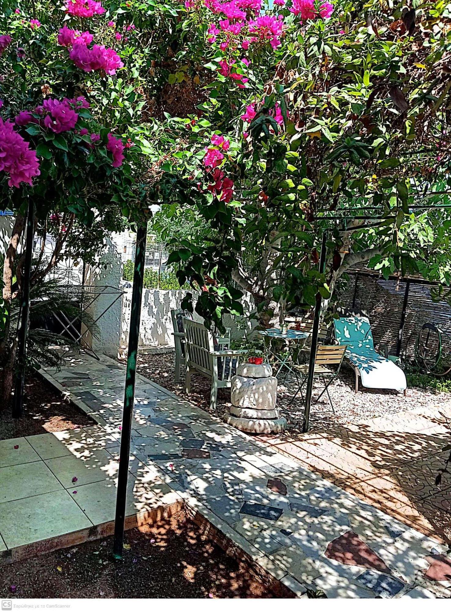 Εξοχικό Maria Ambelakia Exterior foto