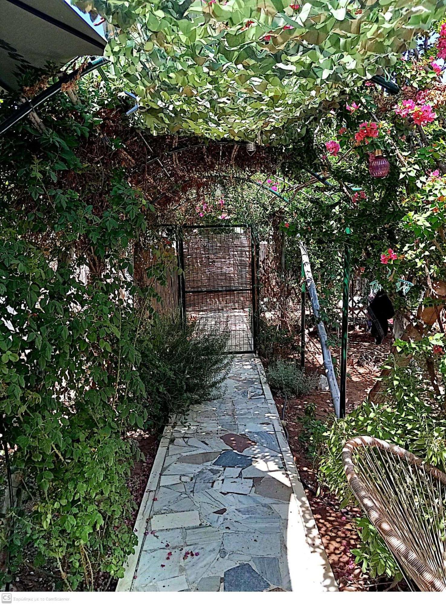 Εξοχικό Maria Ambelakia Exterior foto