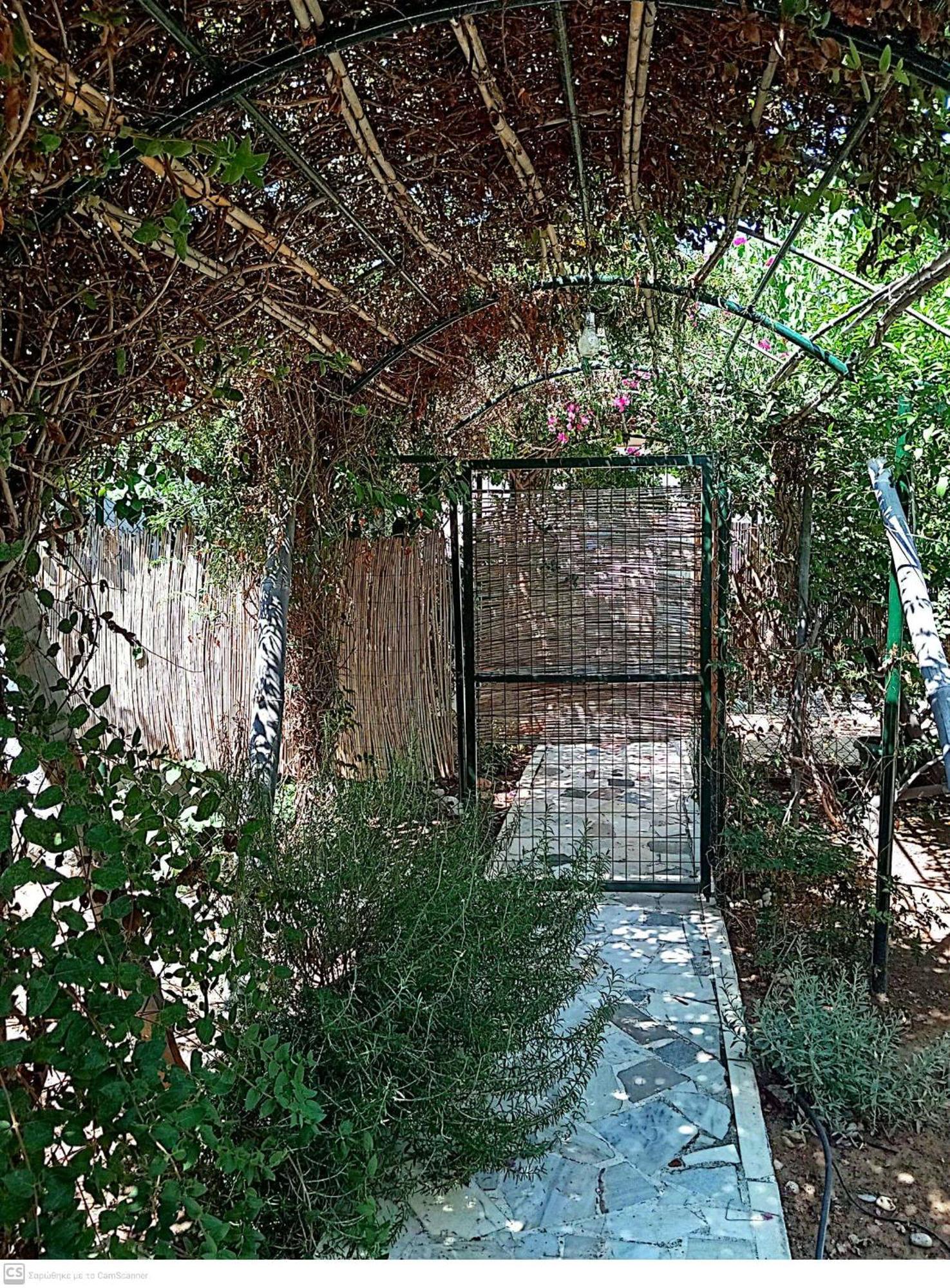 Εξοχικό Maria Ambelakia Exterior foto